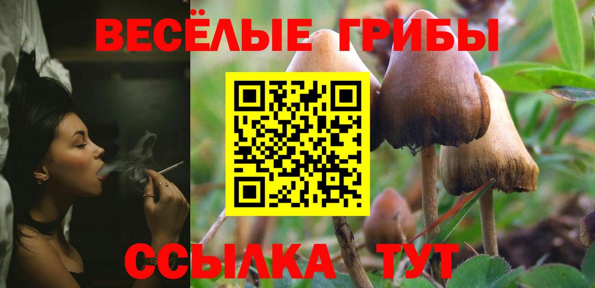 Псилоцибиновые грибы Cubensis Бугуруслан
